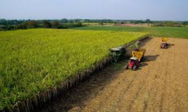 Punjab Provincial Development Working Party approves three development schemes