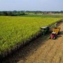 Punjab Provincial Development Working Party approves three development schemes