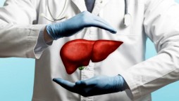 Liver