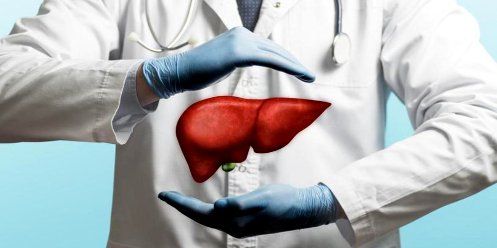 Liver