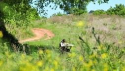 Italian boy travels a mile for good internet to take online classes