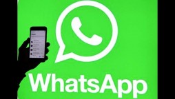 Whatsapp to increase group call limit