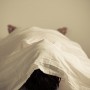 Suspected Coronavirus patient who committed suicide in Jinnah hospital tests negative