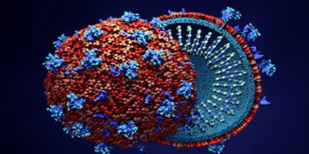 Coronavirus Worldometer