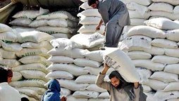 Flour mills asks to voluntarily reduce