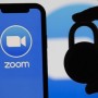 Govt warns its officials about the Zoom app