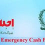 PTI Govt opens new web portal for Ehsaas Emergency Cash payments