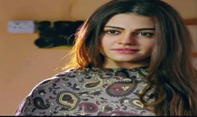 Zara Noor Abbas demands justice for TikToker Ghani Tiger’s father