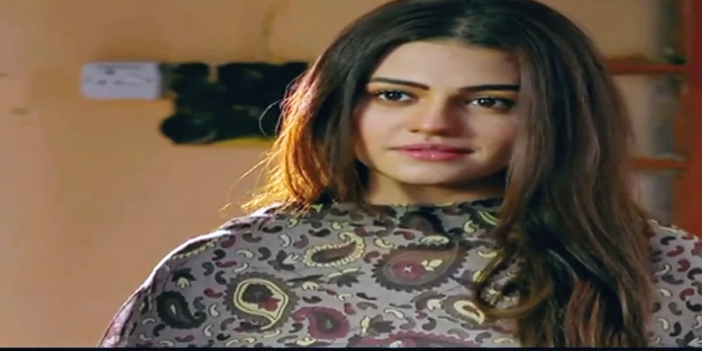 Zara Noor Abbas wishes Bushra Ansari on her birthday