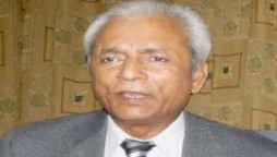 Nehal Hashmi