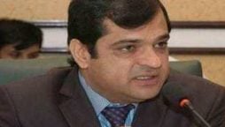 liaquat shahwani