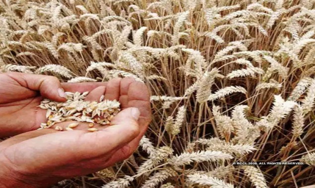 Wheat reserves exceeded 4.3 mmt in Punjab: Aleem Khan