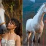 Jacqueline Fernandez poses with Salman Khan’s horse at his Farmhouse