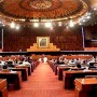 Senate passes unanimous resolution appreciating Chinese support