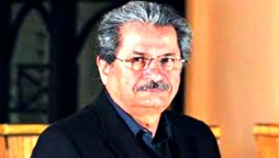 Shafqat Mahmood announces consultation of education ministry with 29 boards