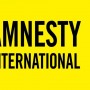 Amnesty expresses concerns over detentions based on immigration status in US