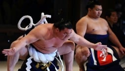 Japanese sumo wrestler dies of coronavirus