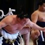 Japanese sumo wrestler dies of coronavirus