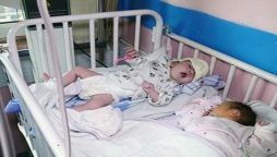Afghan women breastfeeding orphaned infants after Kabul attack