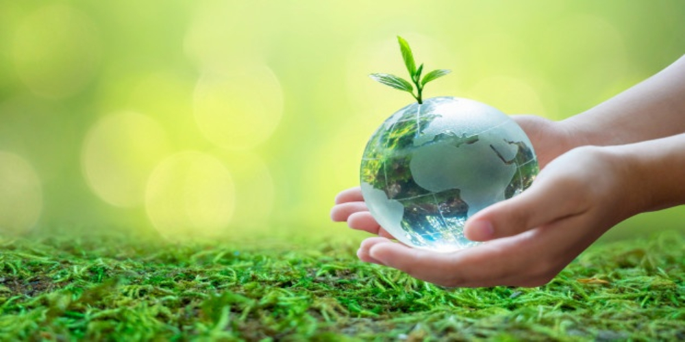 Record reduction in greenhouse gas emissions Coronavirus Pandemic Earth is healing Paris agreement