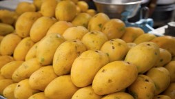 Health benefits of mangoes-the king of fruits