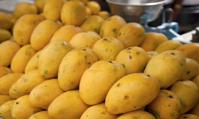 Health benefits of mangoes-the king of fruits