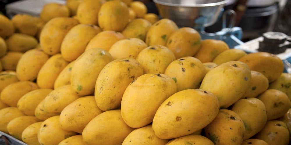 Health benefits of mangoes-the king of fruits