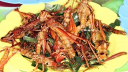 locust fry recipe