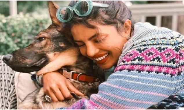 “I promise Gino loves my cuddles” Priyanka Chopra shares love with her pet