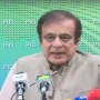 8mn more families to receive assistance under Ehsas program: Shibli Faraz