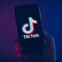 How TikTok revenue increases during the lockdowns?