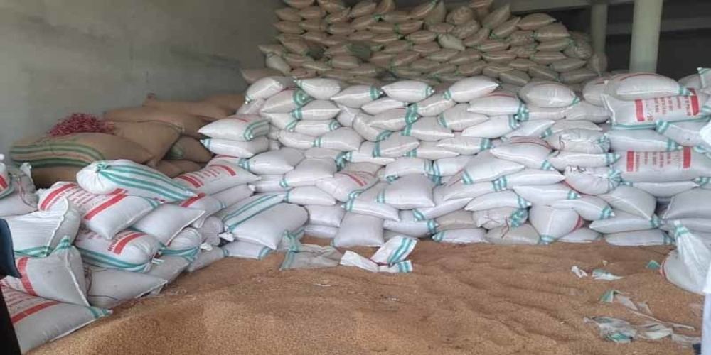 Sindh: Wheat worth Rs5.35 billion missing from govt warehouses