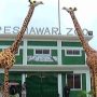 Chronic diarrhea kills African Giraffe at Peshawar Zoo