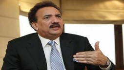 Rehman Malik rejects 'baseless and wild allegations'
