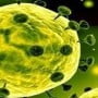 SHOs test positive for coronavirus in Lahore