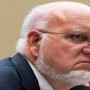 Coronavirus has brought the US to its knees, CDC chief