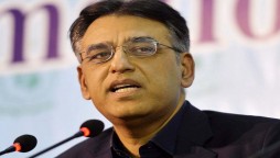 Government will ensure 1,000 ICU beds this month, says Asad Umar