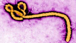 After coronavirus, 5 people died due to Ebola in Congo