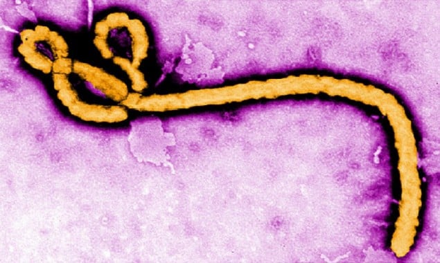 After coronavirus, 5 people died due to Ebola in Congo