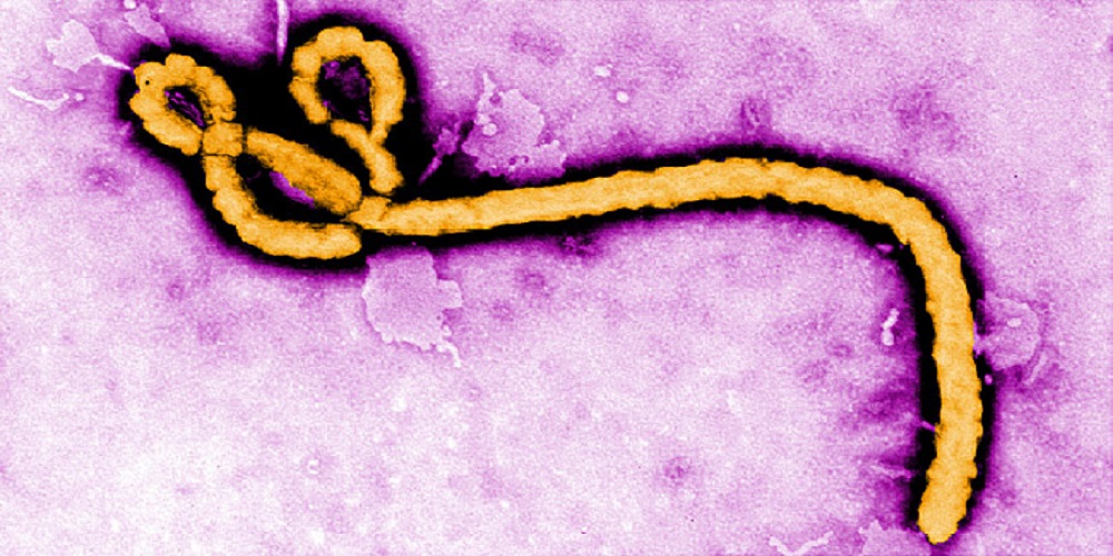 After coronavirus, 5 people died due to Ebola in Congo