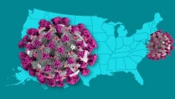 42,000 new coronavirus cases in 24 hours reported in USA