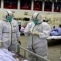 Pakistan confirms 234,509 positive coronavirus cases