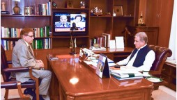 Pakistan will play its vigorous role in maintaining peace in Afghanistan, FM Qureshi