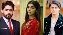 Pakistani Celebrities