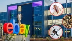 Former eBay employees arrested for harassing journalist by sending live insects