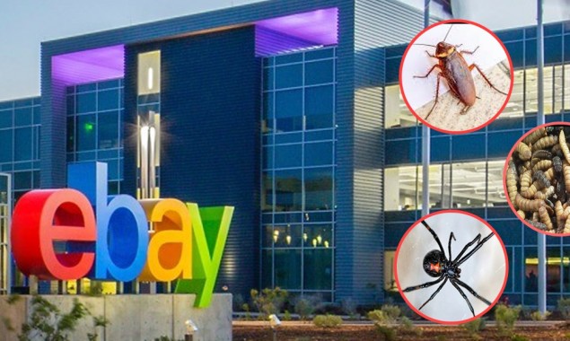 Former eBay employees arrested for harassing journalist by sending live insects