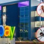 Former eBay employees arrested for harassing journalist by sending live insects