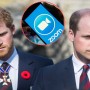 Prince William stays in touch with Prince Harry through Zoom calls
