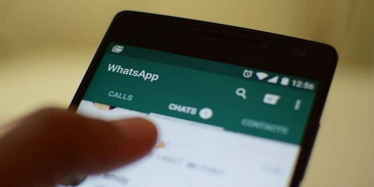 WhatsApp google contacts