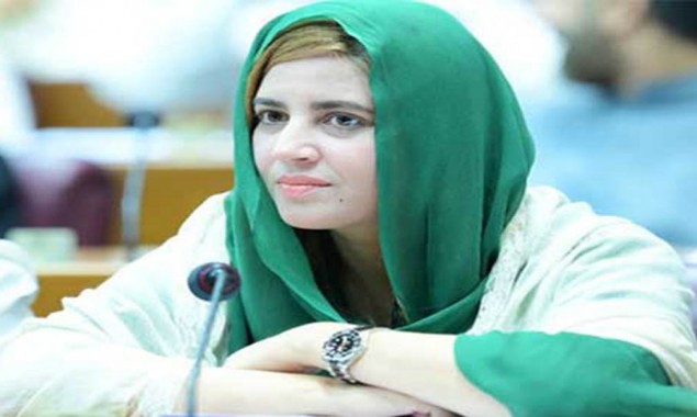 Anyone can commit mistakes, says Zartaj Gul